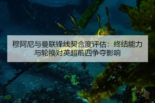 mu-a-ni-yu-man-lian-feng-xian-qi-he-du-ping-gu-zhong-jie-neng-li-yu-lun-huan-dui-ying-chao-qian-si-zheng-duo-ying-xiang-3-271.jpg