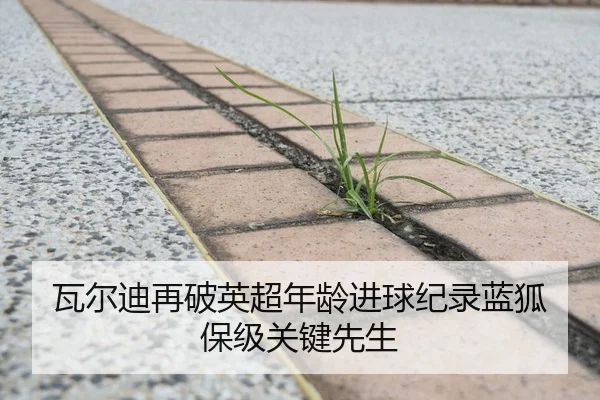 瓦尔迪再破英超年龄进球纪录蓝狐保级关键先生