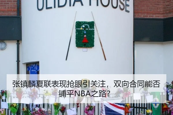 张镇麟夏联表现抢眼引关注，双向合同能否铺平NBA之路？