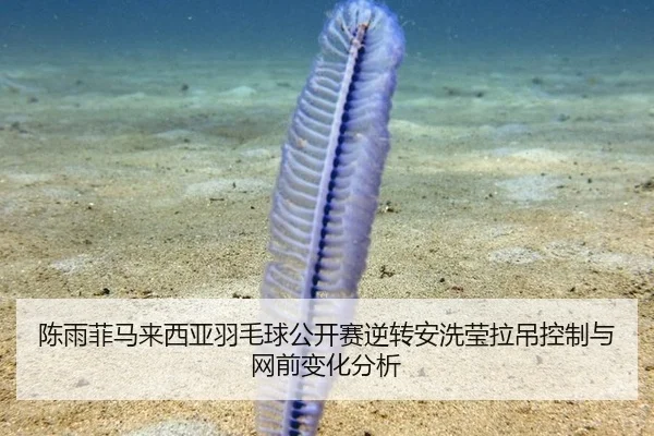 陈雨菲马来西亚羽毛球公开赛逆转安洗莹拉吊控制与网前变化分析